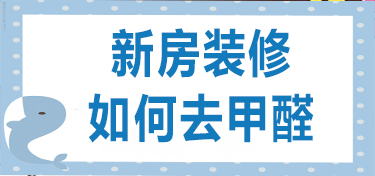 新房装修如何去甲醛